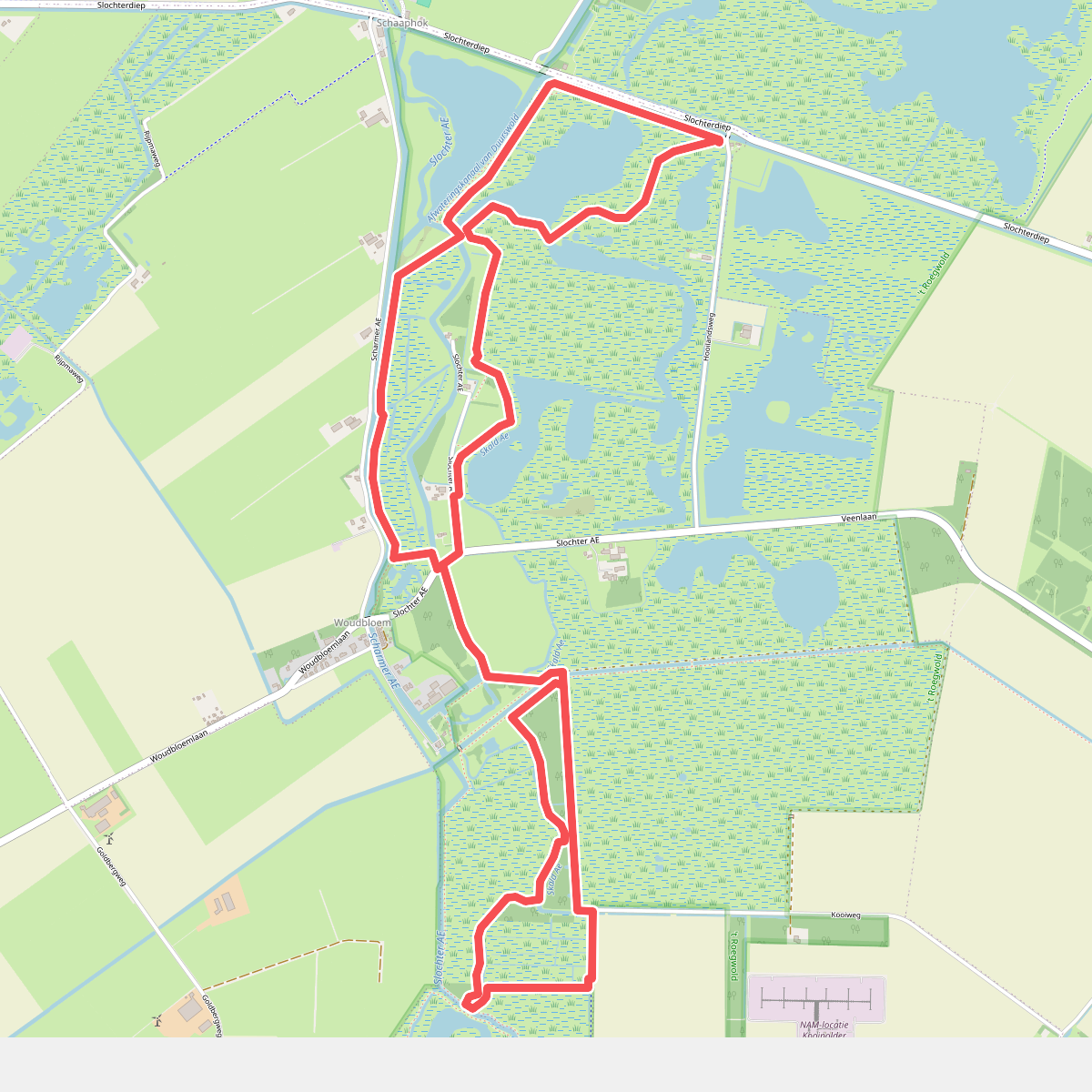 Strunen met Stolk, Woudbloem