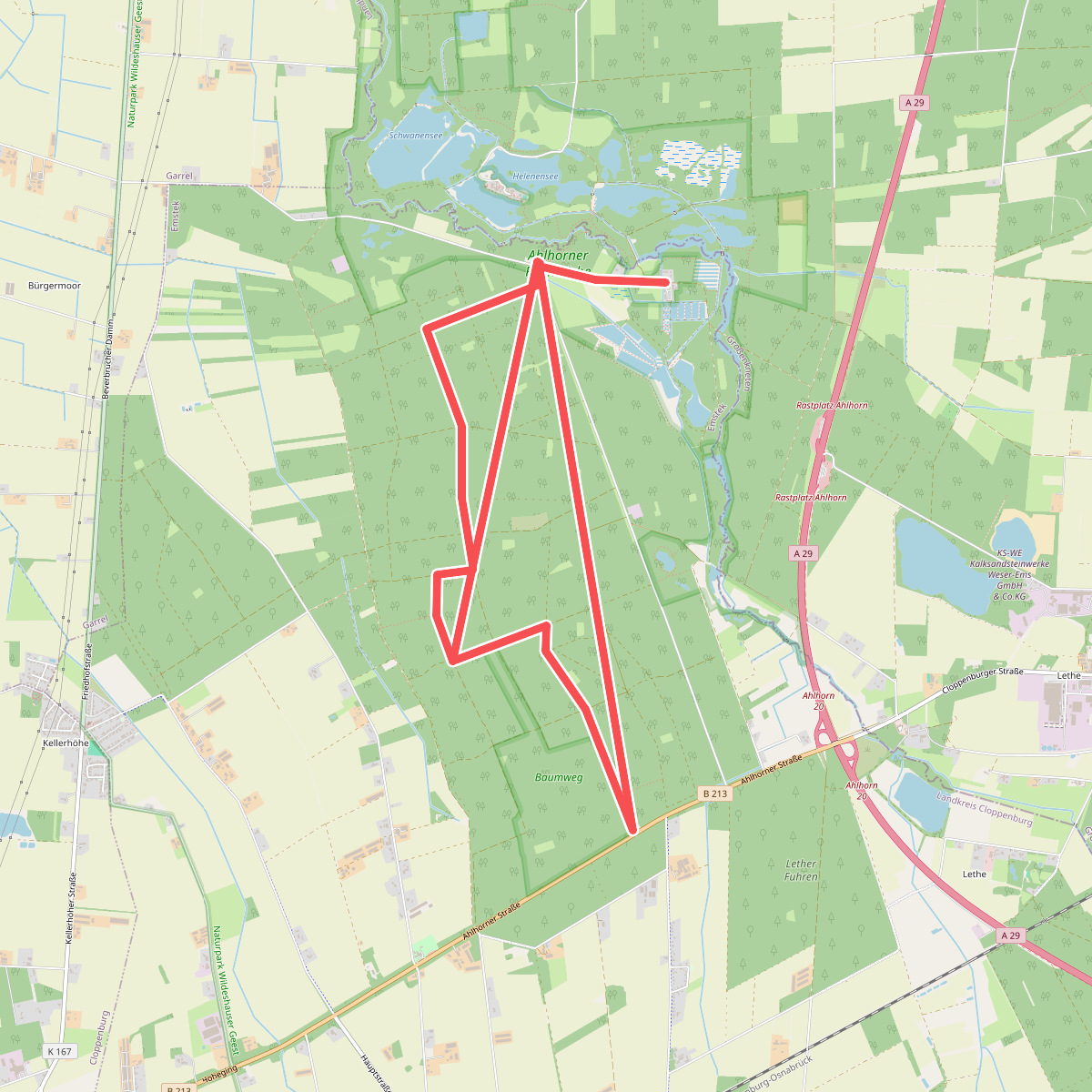 Urwaldweg