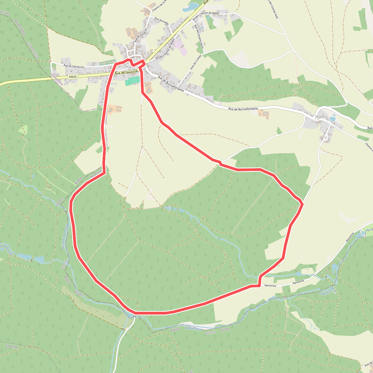 1. Proiji