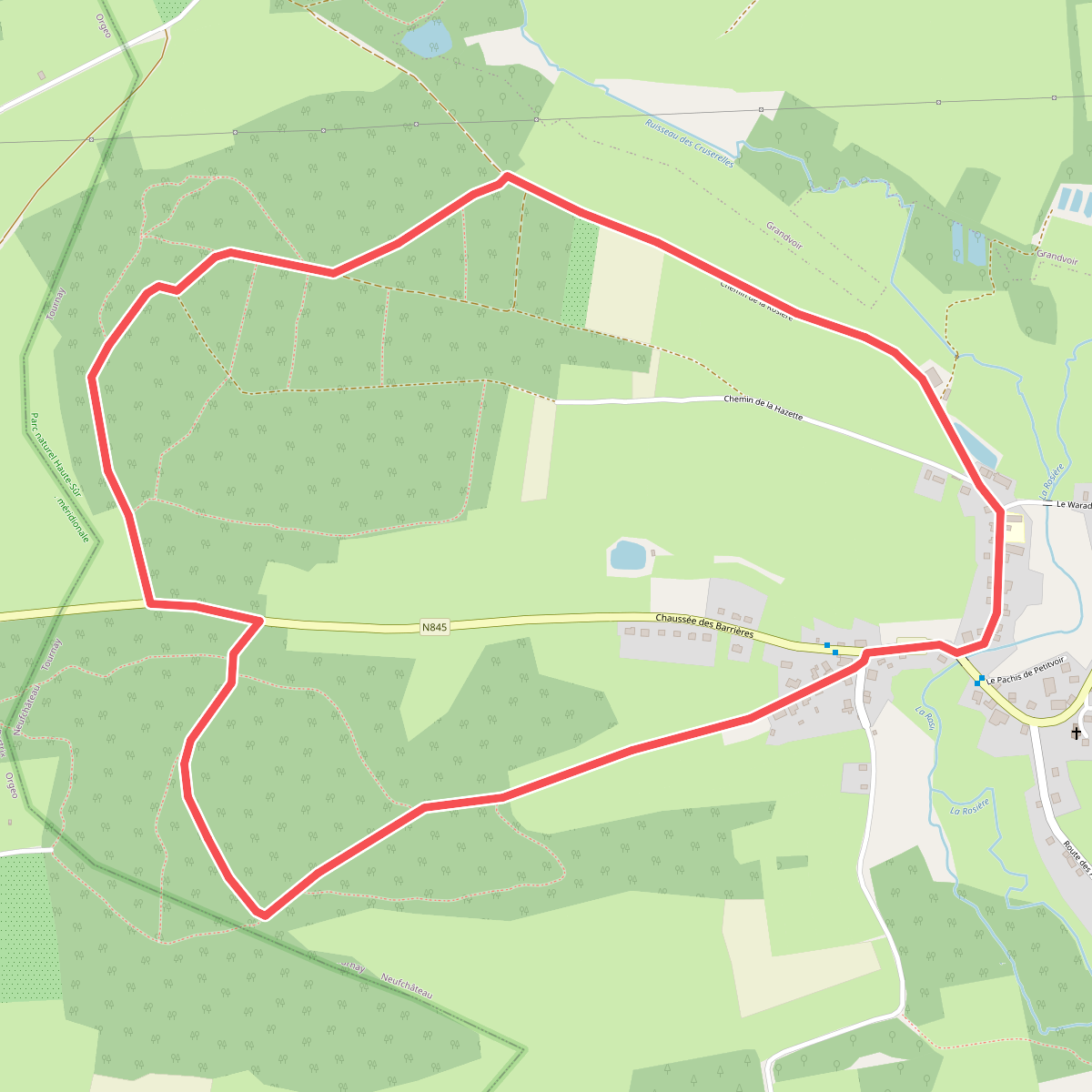Balade en forêt