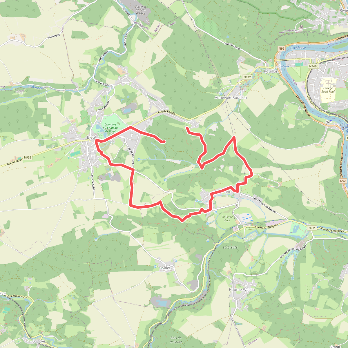 Bois de Warnant