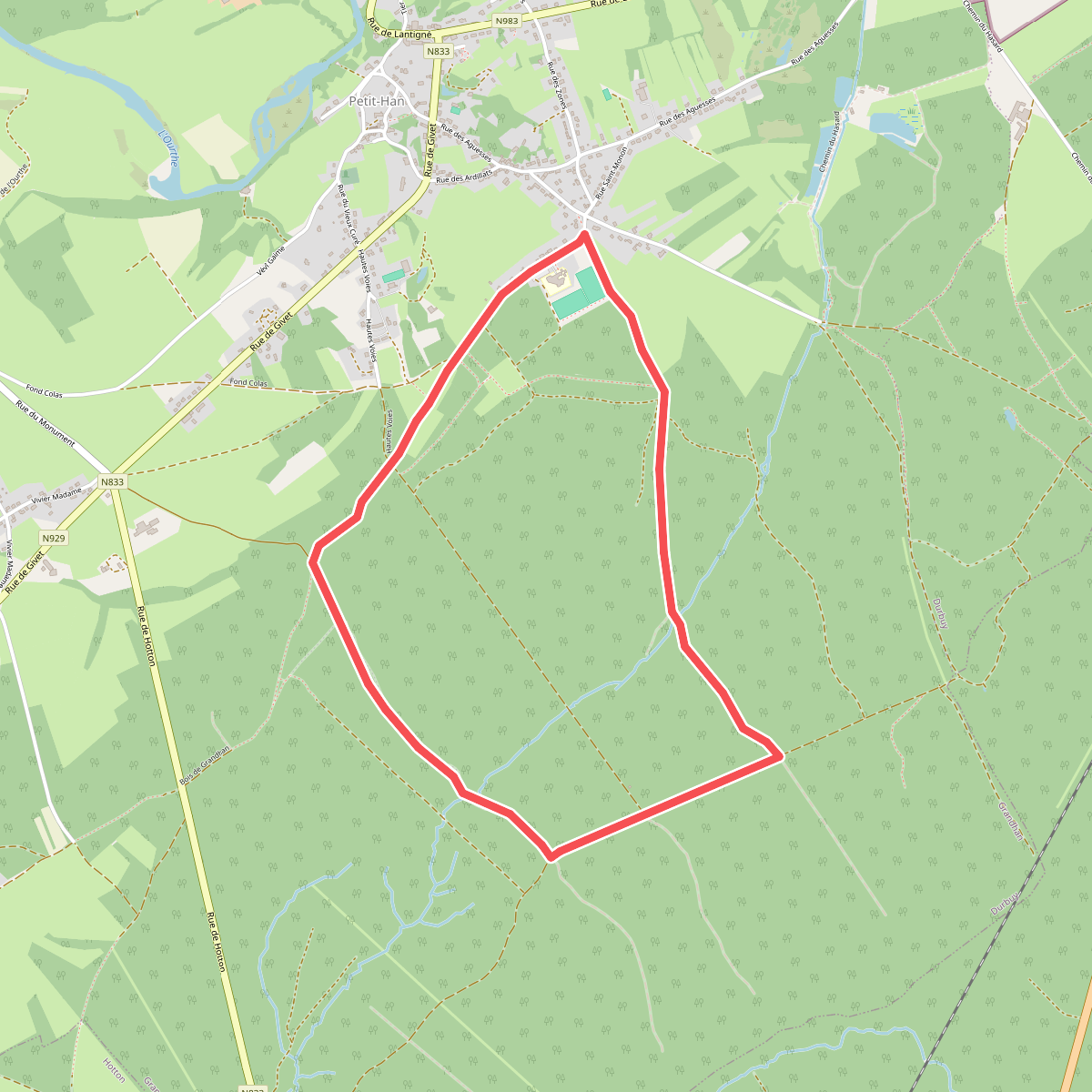 7. Chêne à l'image