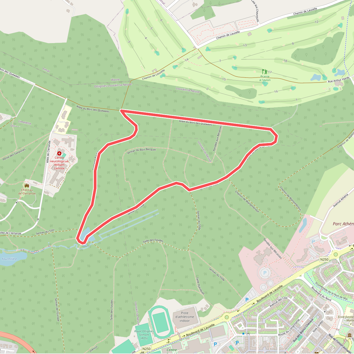 Le circuit Forêt