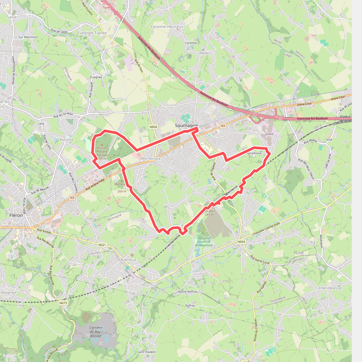 GR 412 Boucle 3 Hasard-Bas Bois