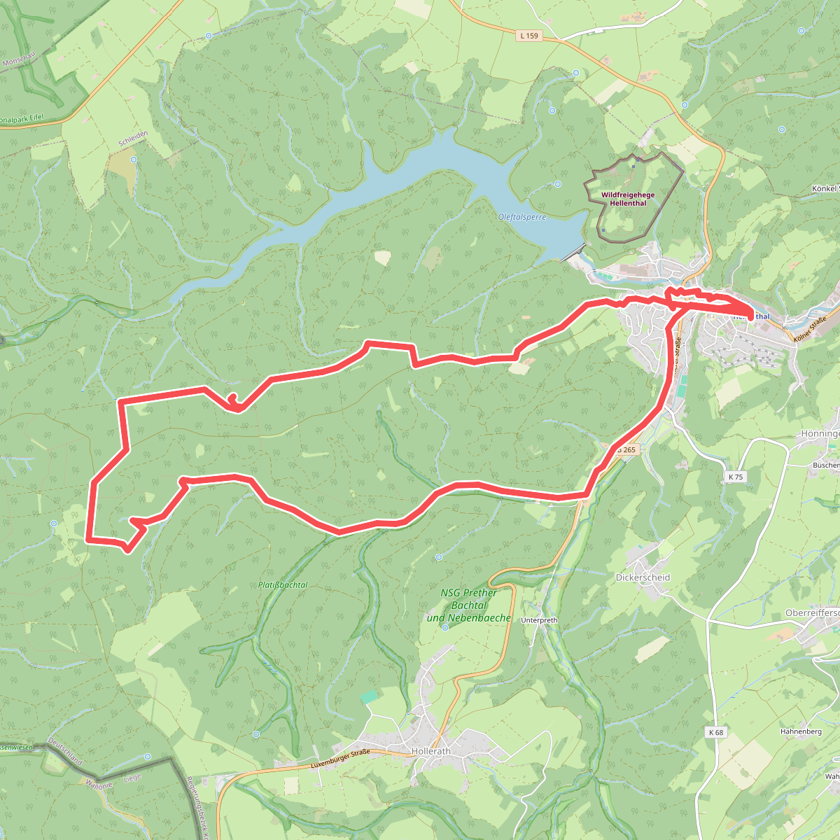 EifelSchleife Waldkapelle