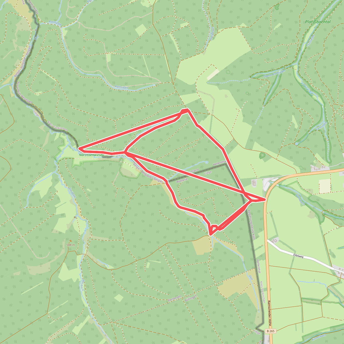 Narzissenroute Rot / Hollerath (Eifel)