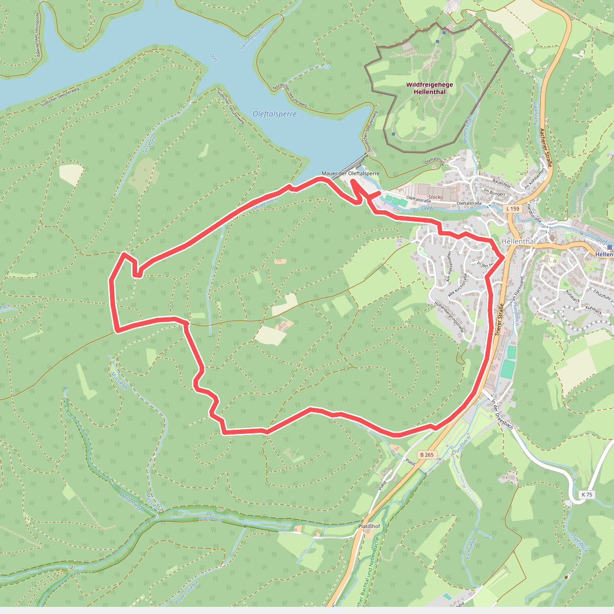 EifelSchleife 3-Eichen