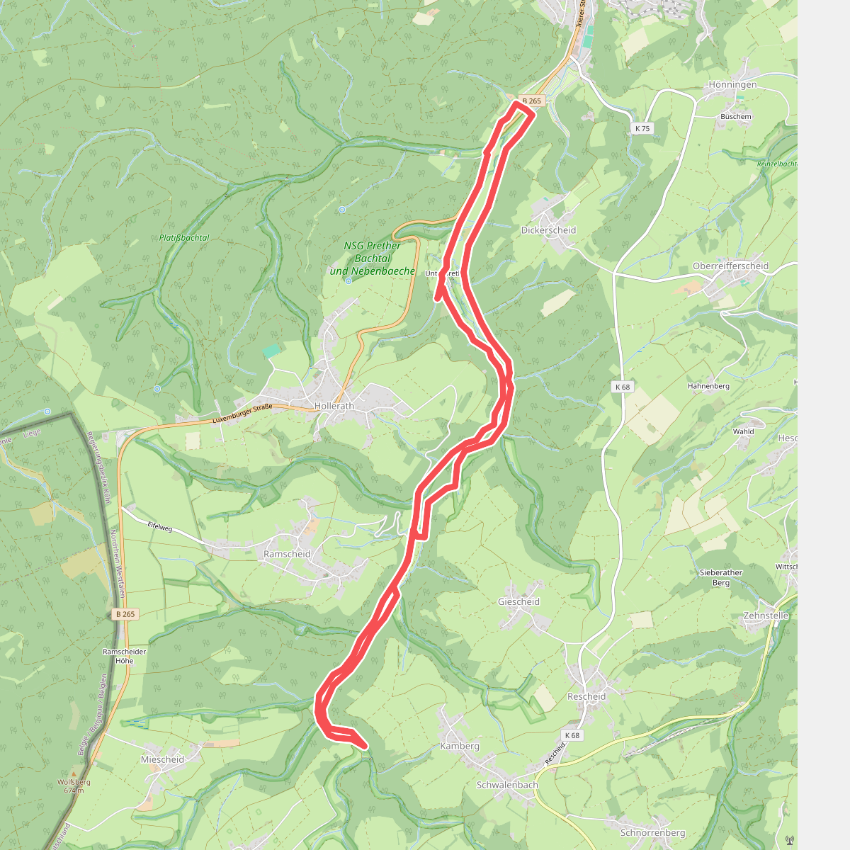 EifelSchleife Eisvogelwanderweg