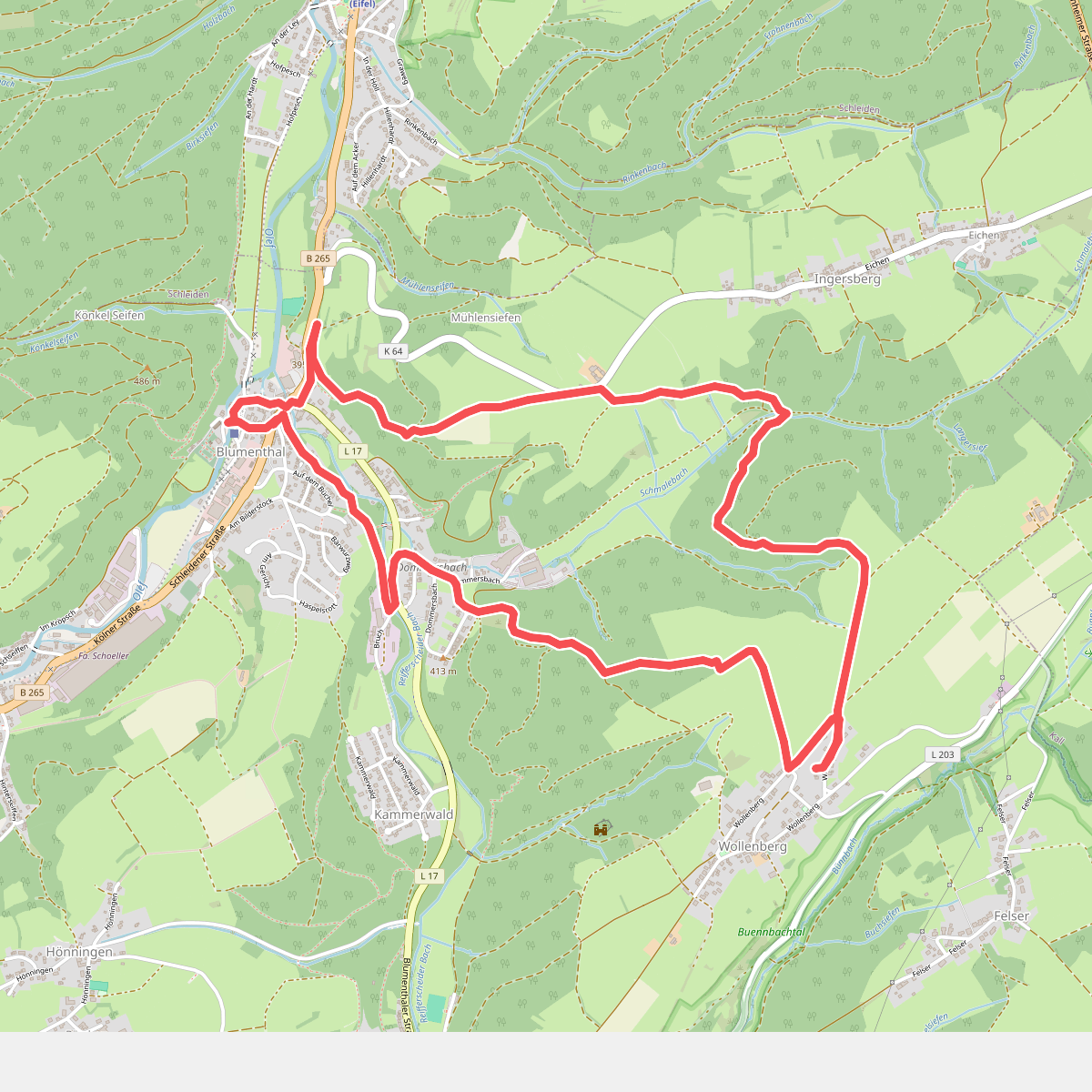 EifelSchleife Vom Ferkelsberg zum Kuhberg