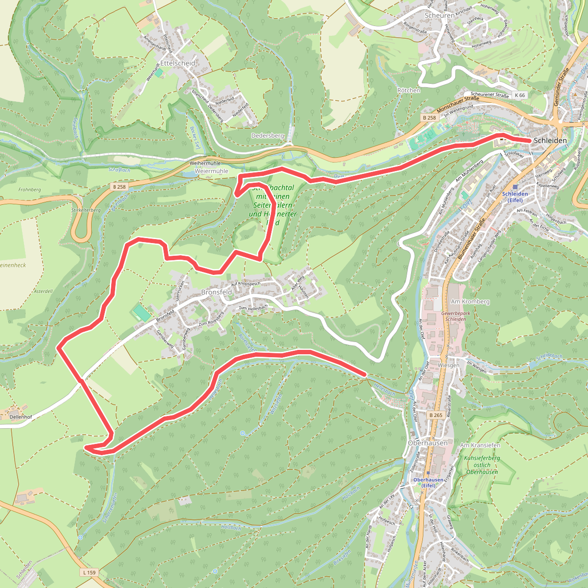Schleiden 4