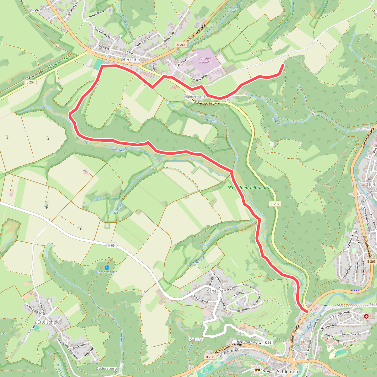 Schleiden 7