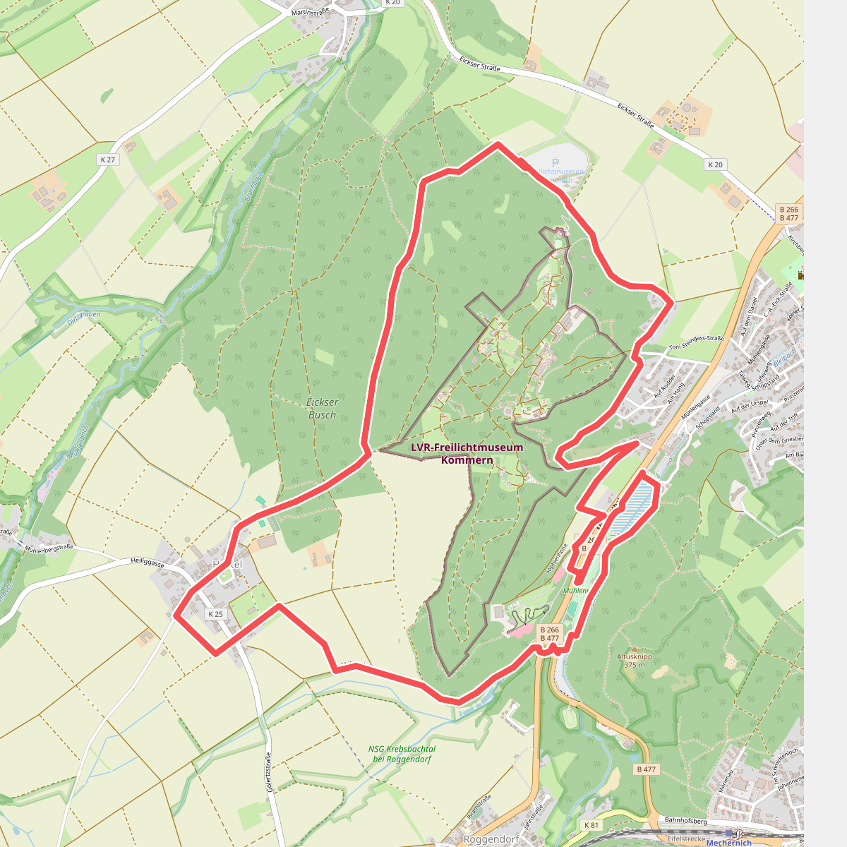 EifelSchleife Vom Mühlensee zum Eifelblick