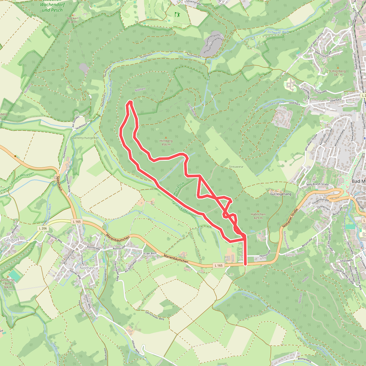 Bad Münstereifel 11