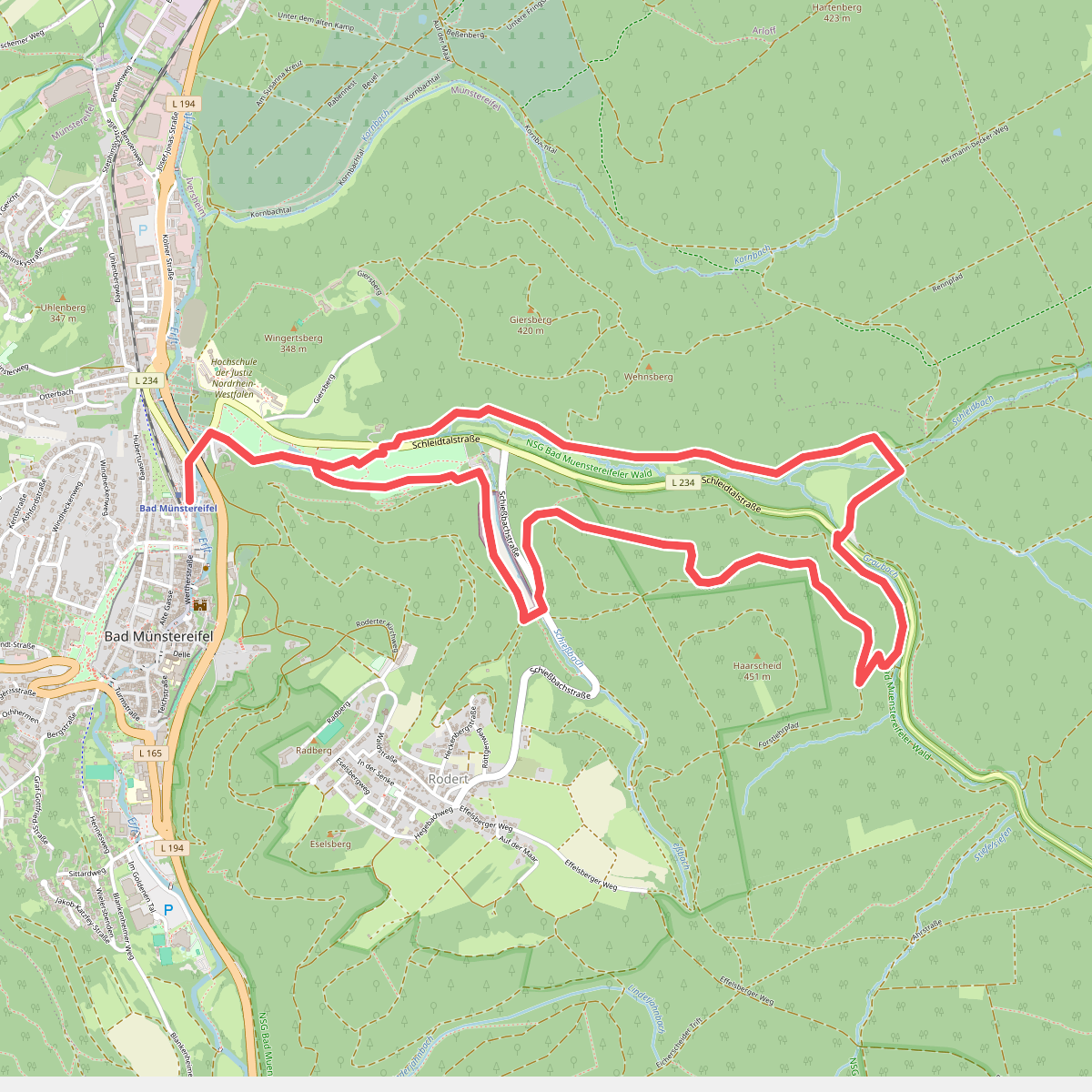 EifelSchleife Durchs Schleidtal
