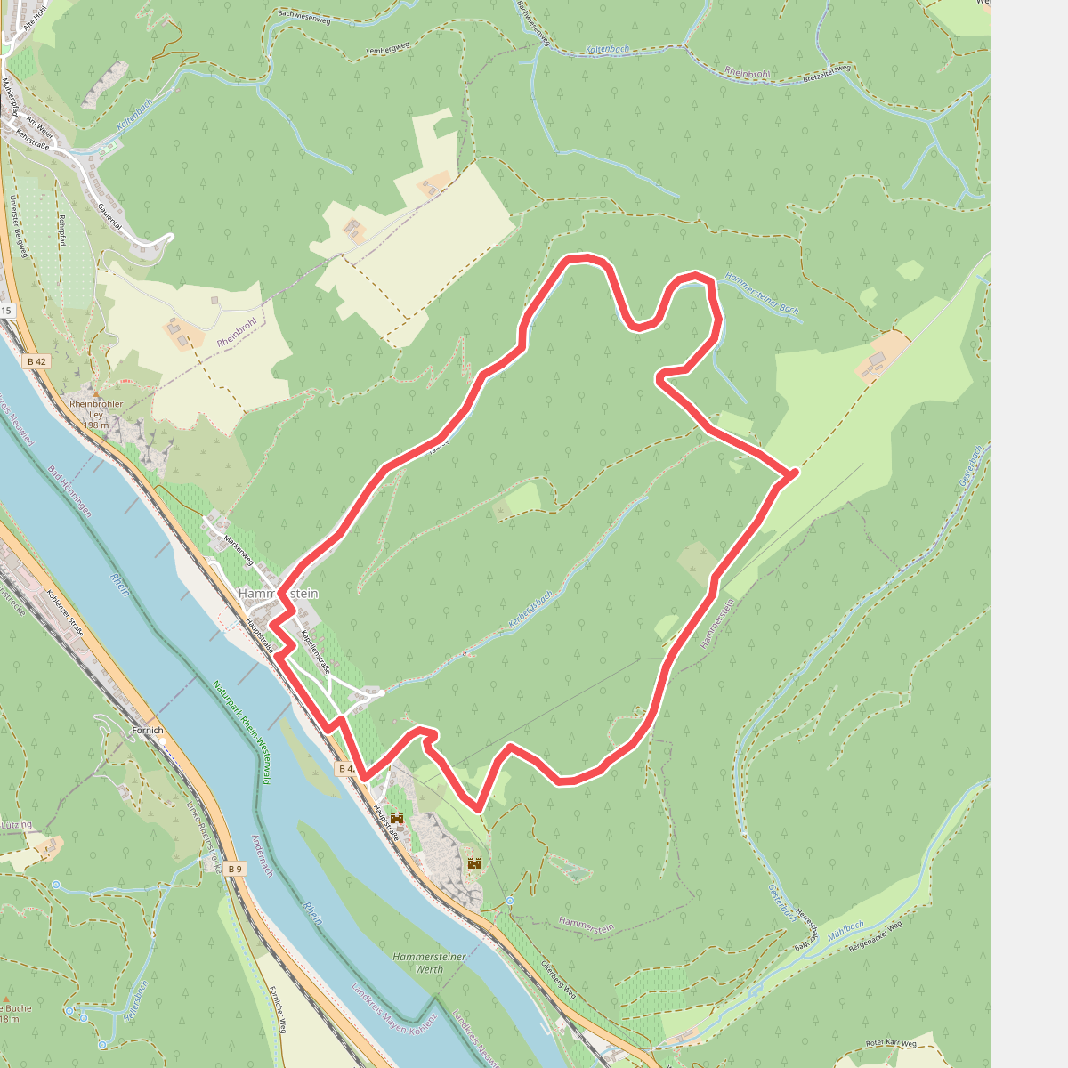 Ha1 - Rundwanderweg "Von Weinreben zur Rheinsicht"