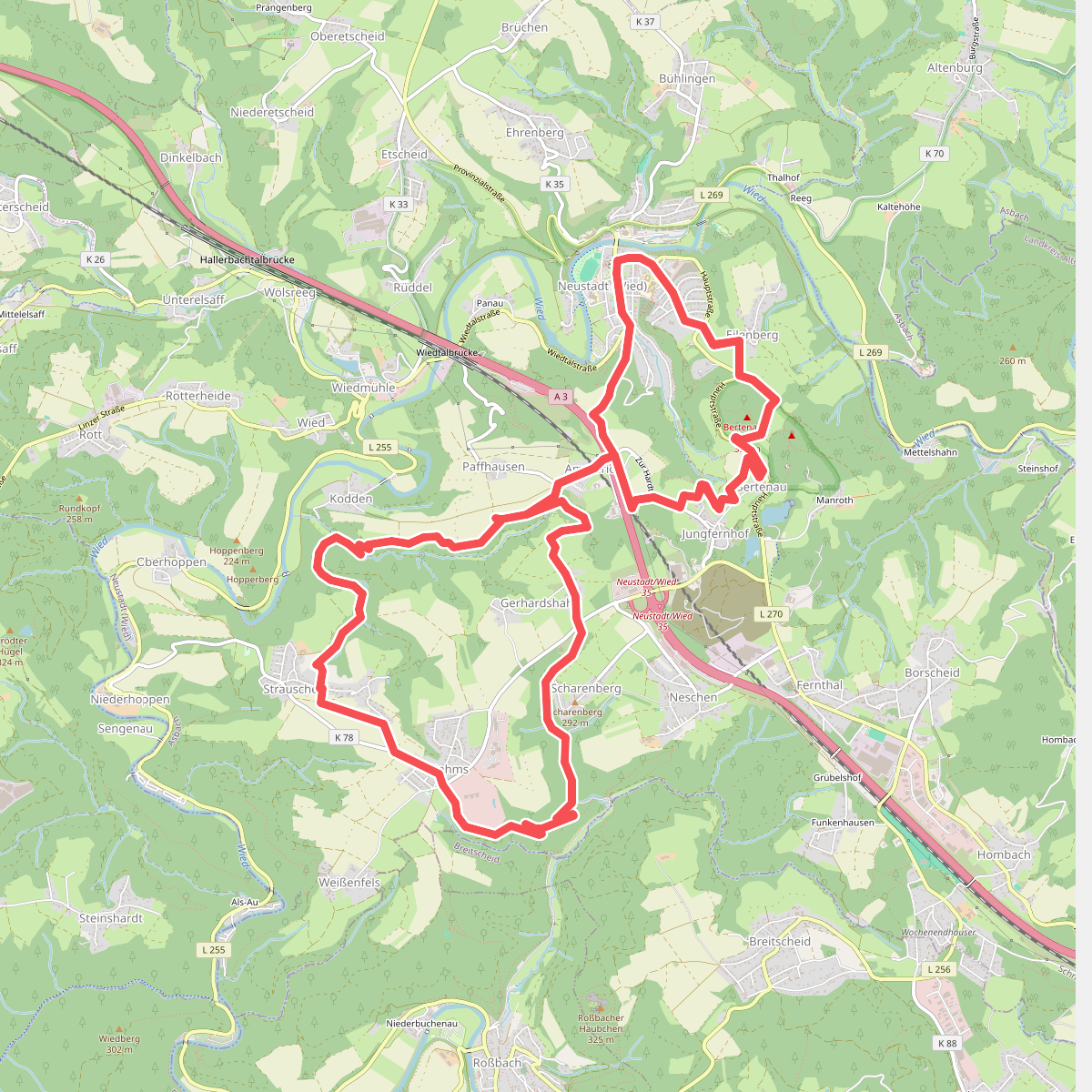 N4