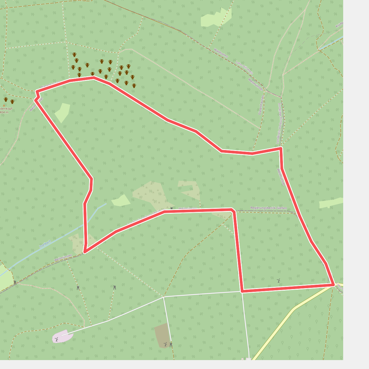 Wanderwege Grävenwiesbach - Alttier