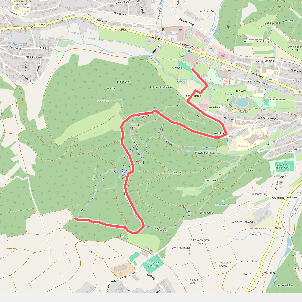 Flowtrail Bad Endbach Fußweg