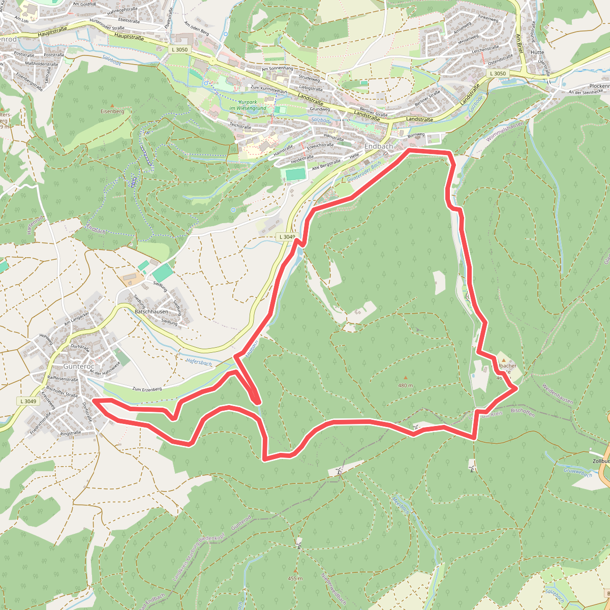 Wanderweg E3 / Waldrand