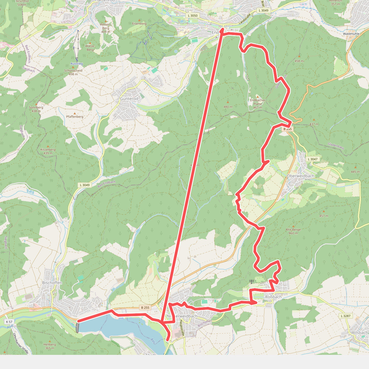 Wanderweg E8 / Alte Bäume