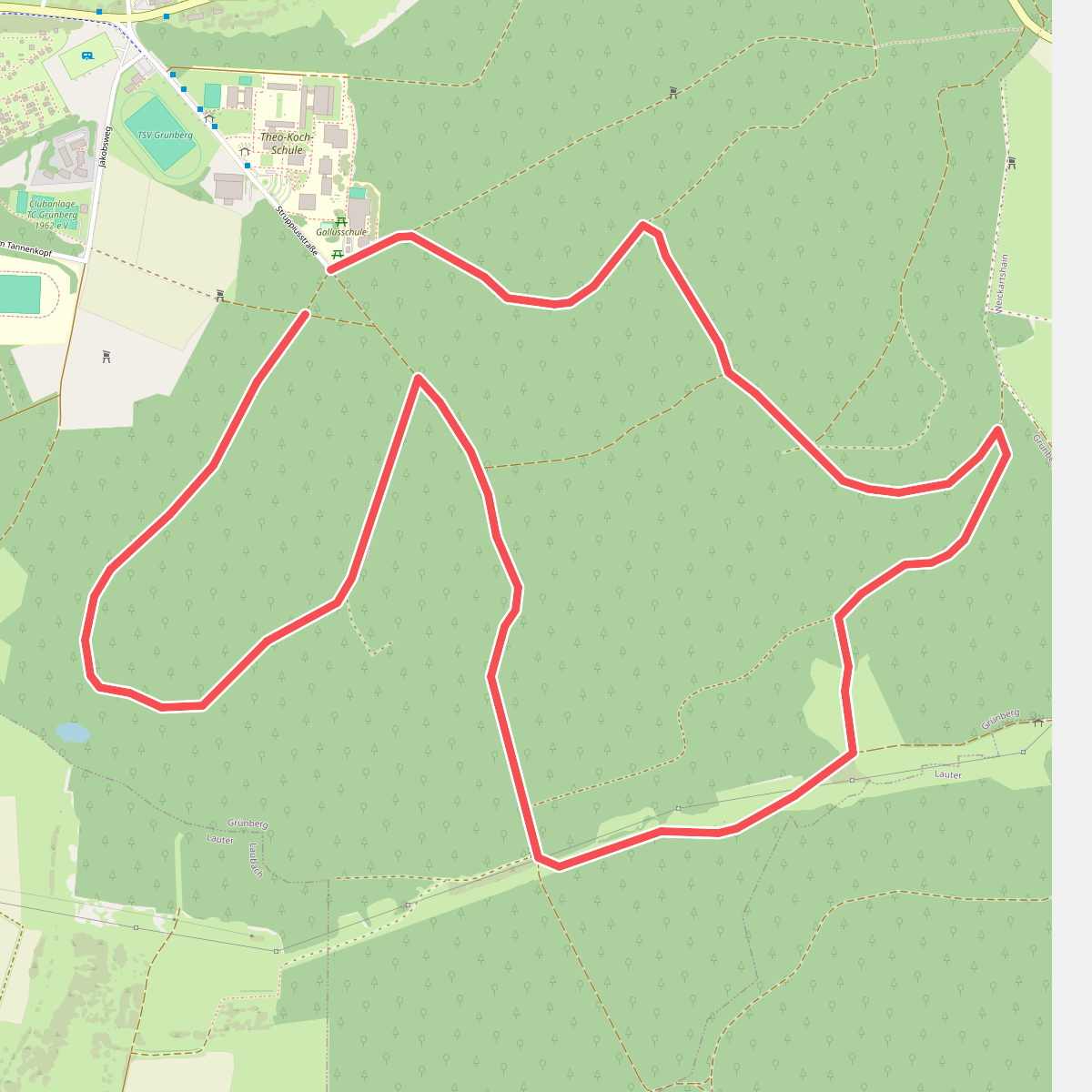 Grünberg - Nordic 2 Raubschloß-Route
