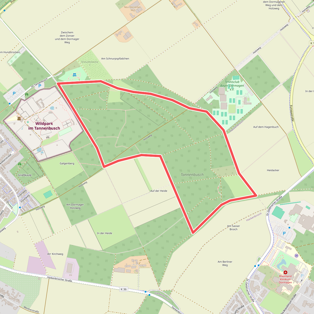 Tannenbusch Rundweg A1