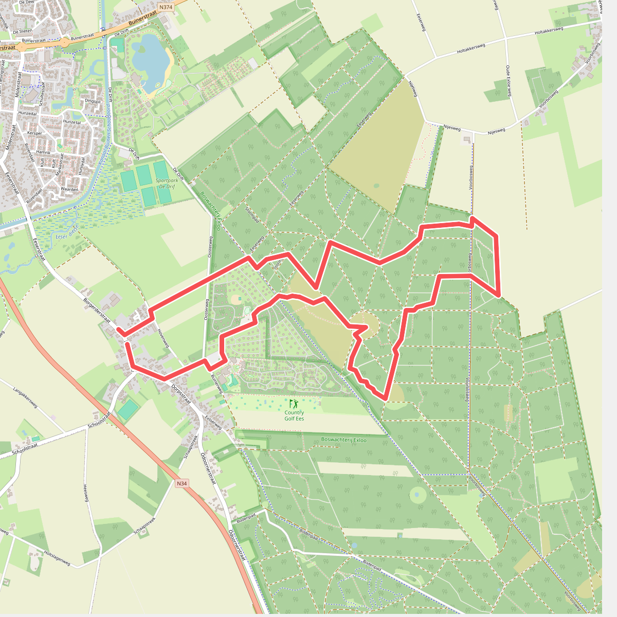 Ontdek het bos