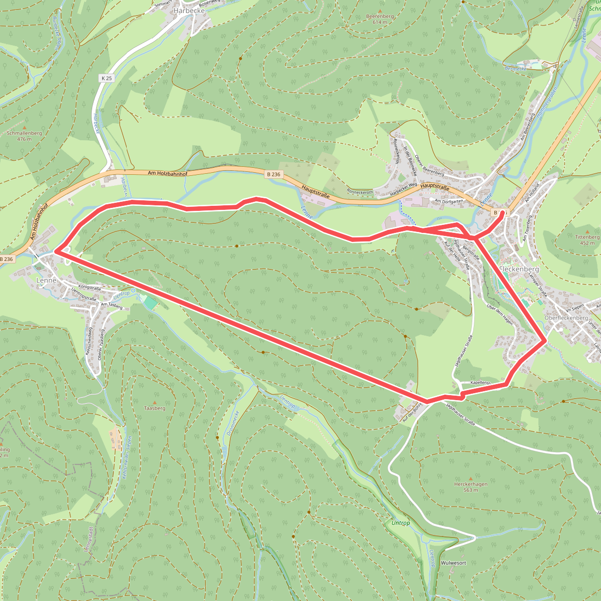 Fleckenberg Rundweg F3