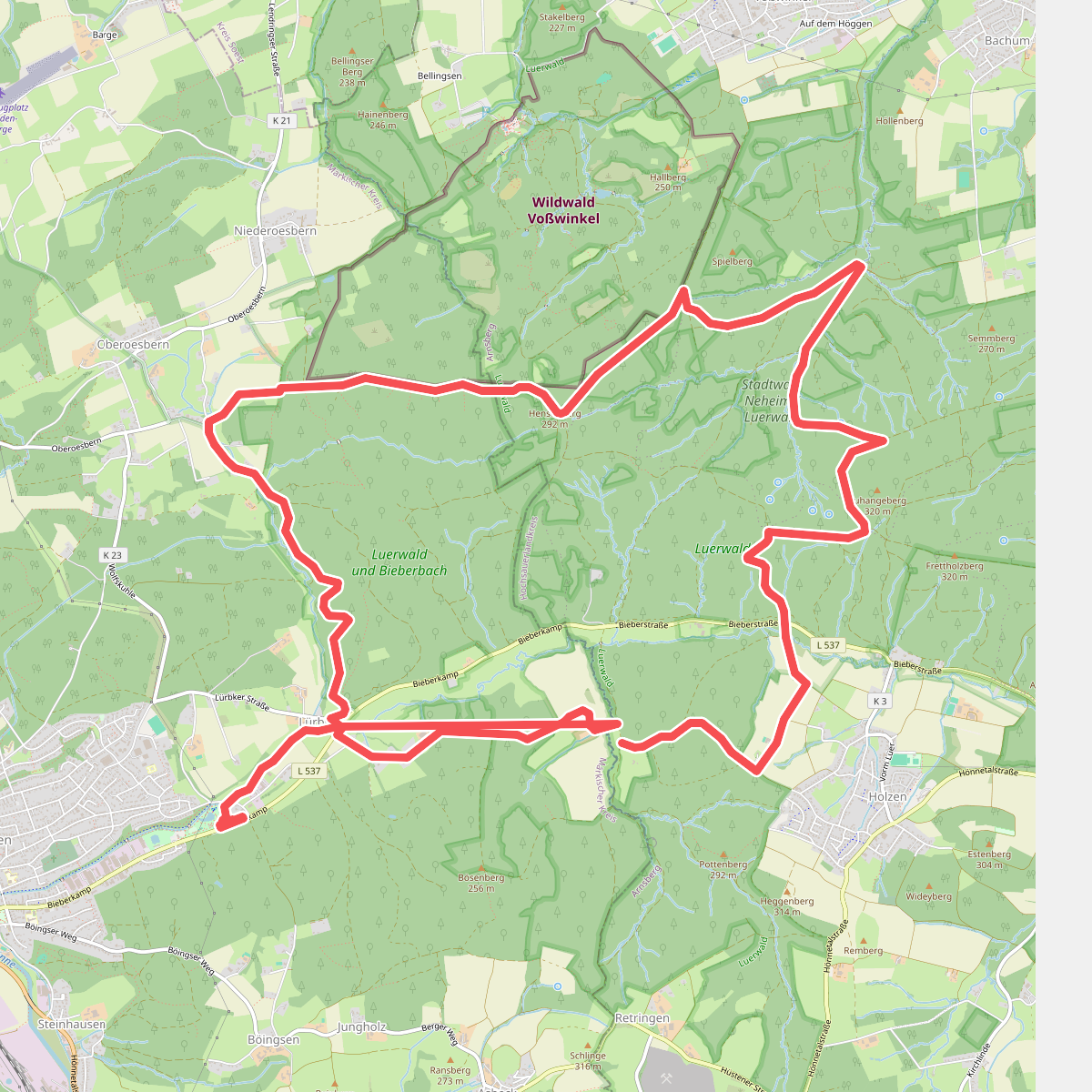[A8] im Stadtwald Neheim