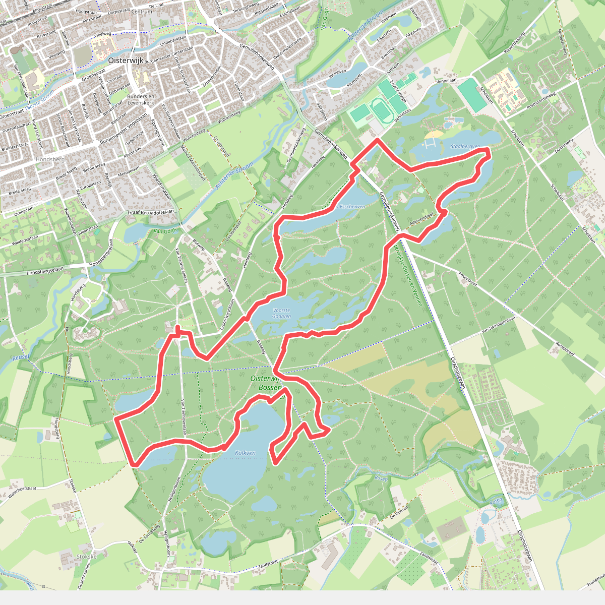 TOP Natuur wandelroute Oisterwijkse Bossen & Vennen