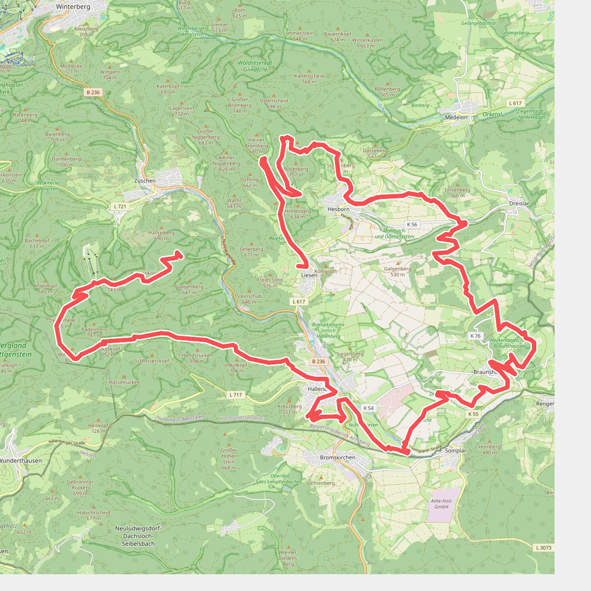 Hallenberger Wanderrausch