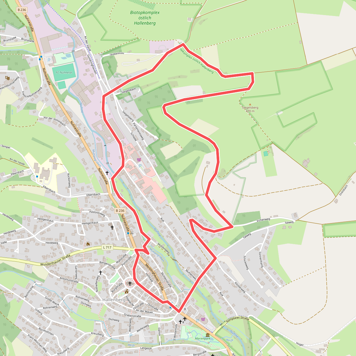 Hallenberg Rundweg H1 Siegelsbergweg