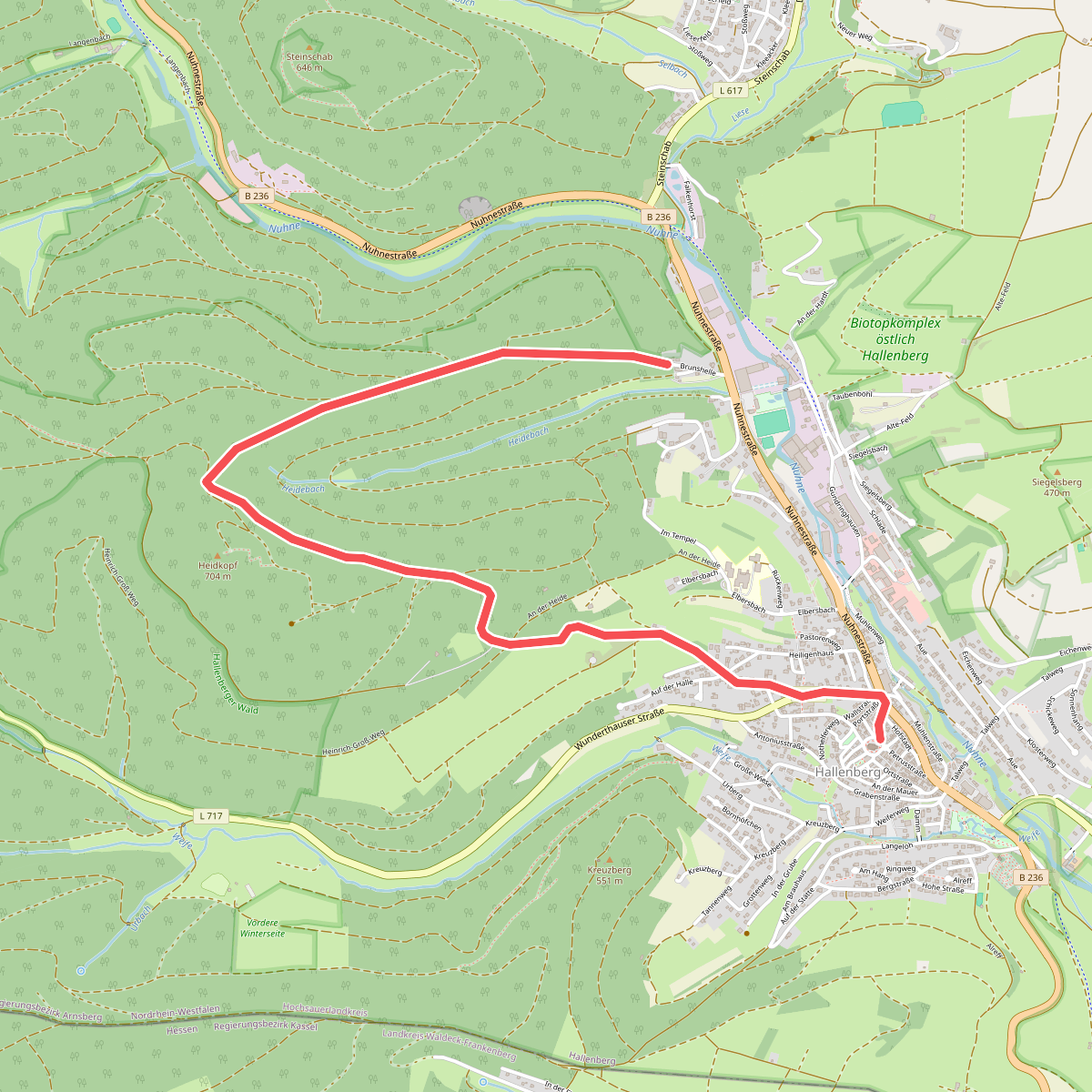 Hallenberg Rundweg H3 Heidkopfweg