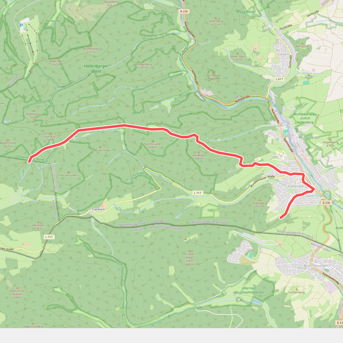 Hallenberg Rundweg H5 Grenzweg