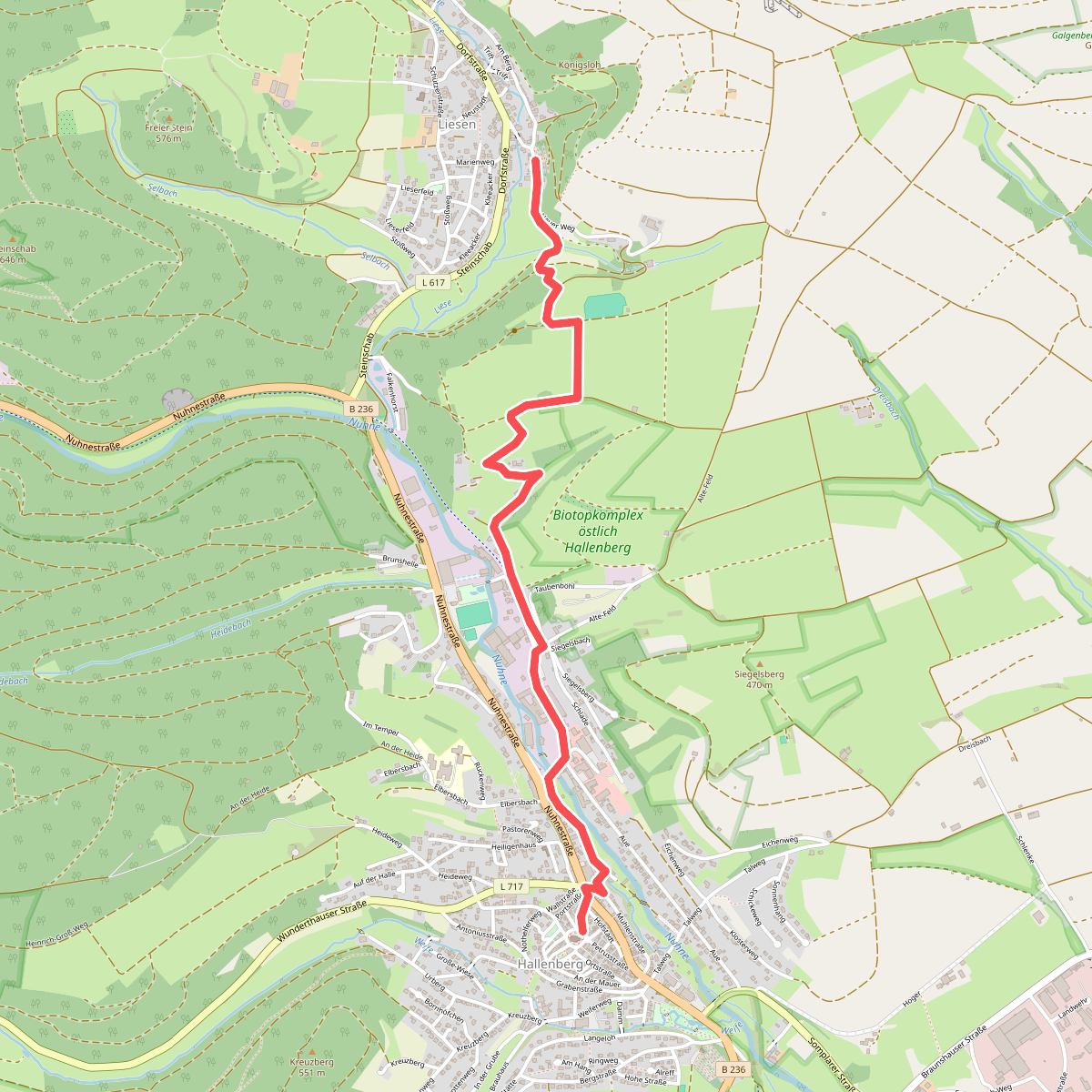Rothaarsteig Zugang Hallenberg