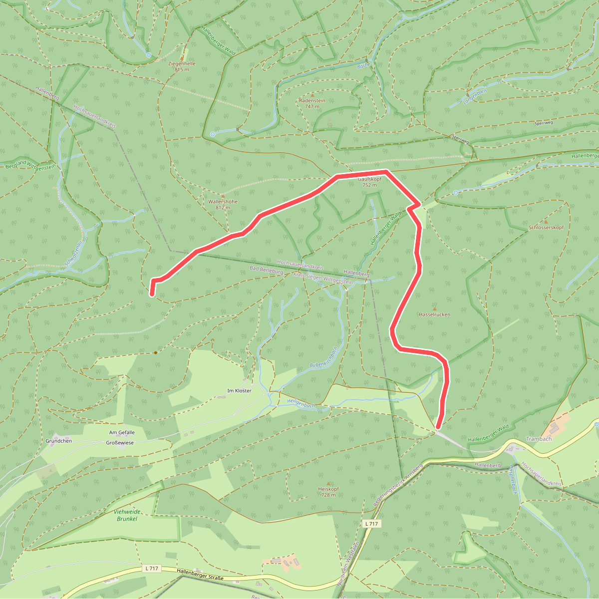 Rotmilan Höhenweg