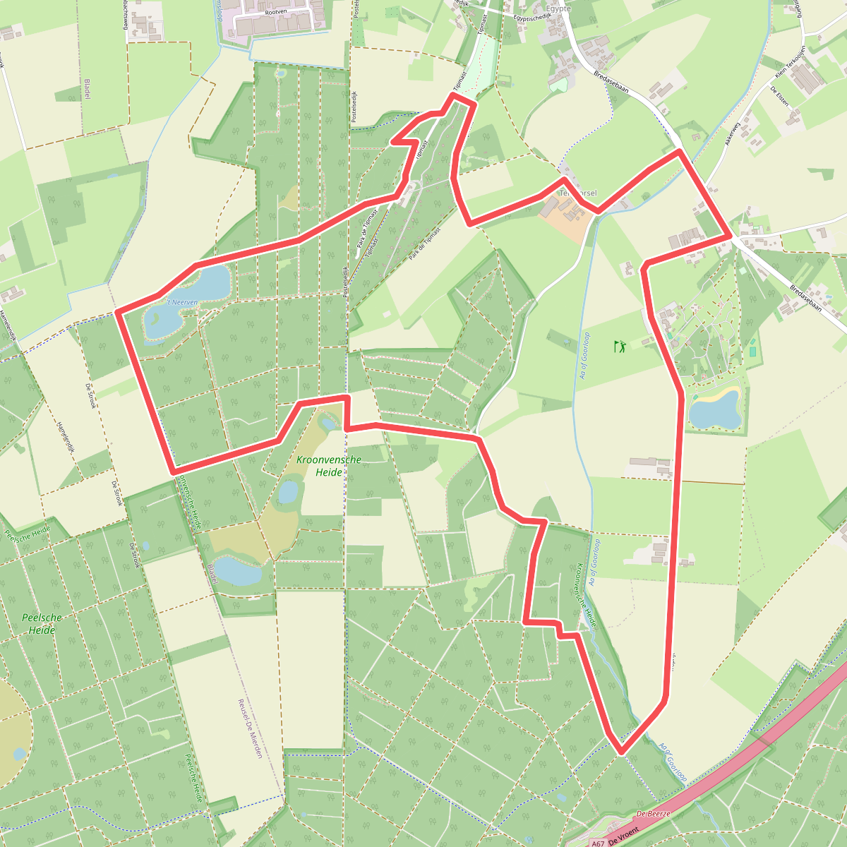 Wandelroute Heksenboom