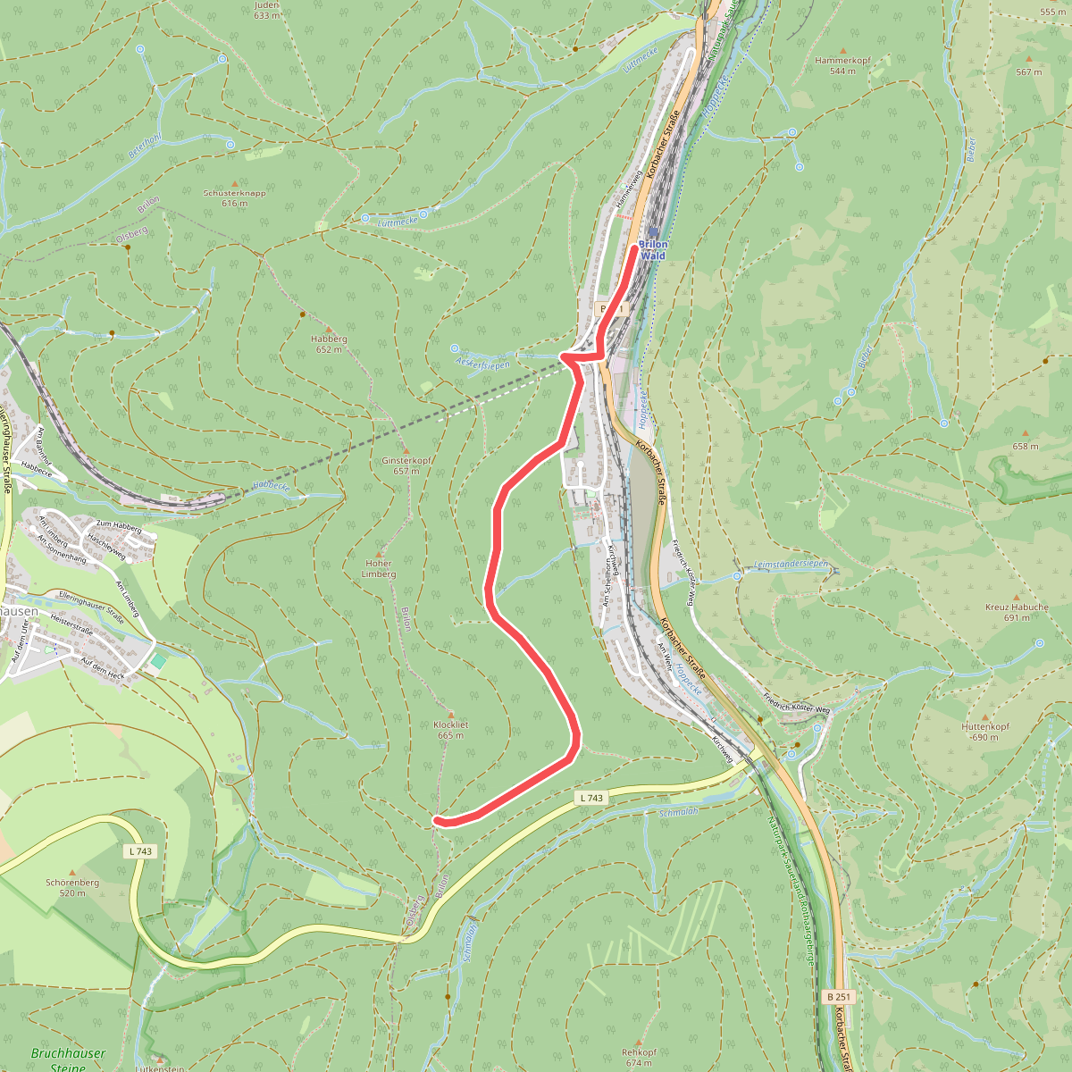 Rothaarsteig-Zuweg Brilon-Wald