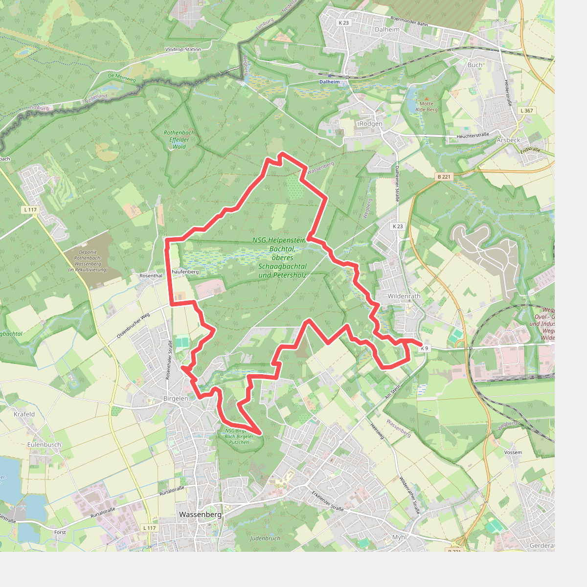 WWW Birgeler Urwald