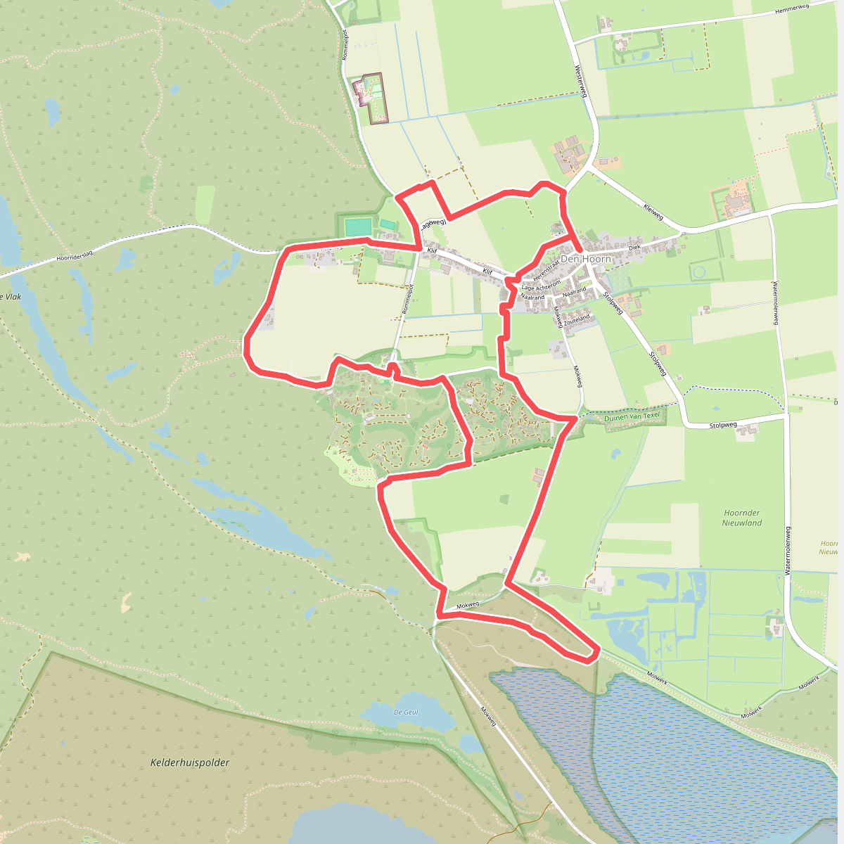 Neeltjesnol (oranje)