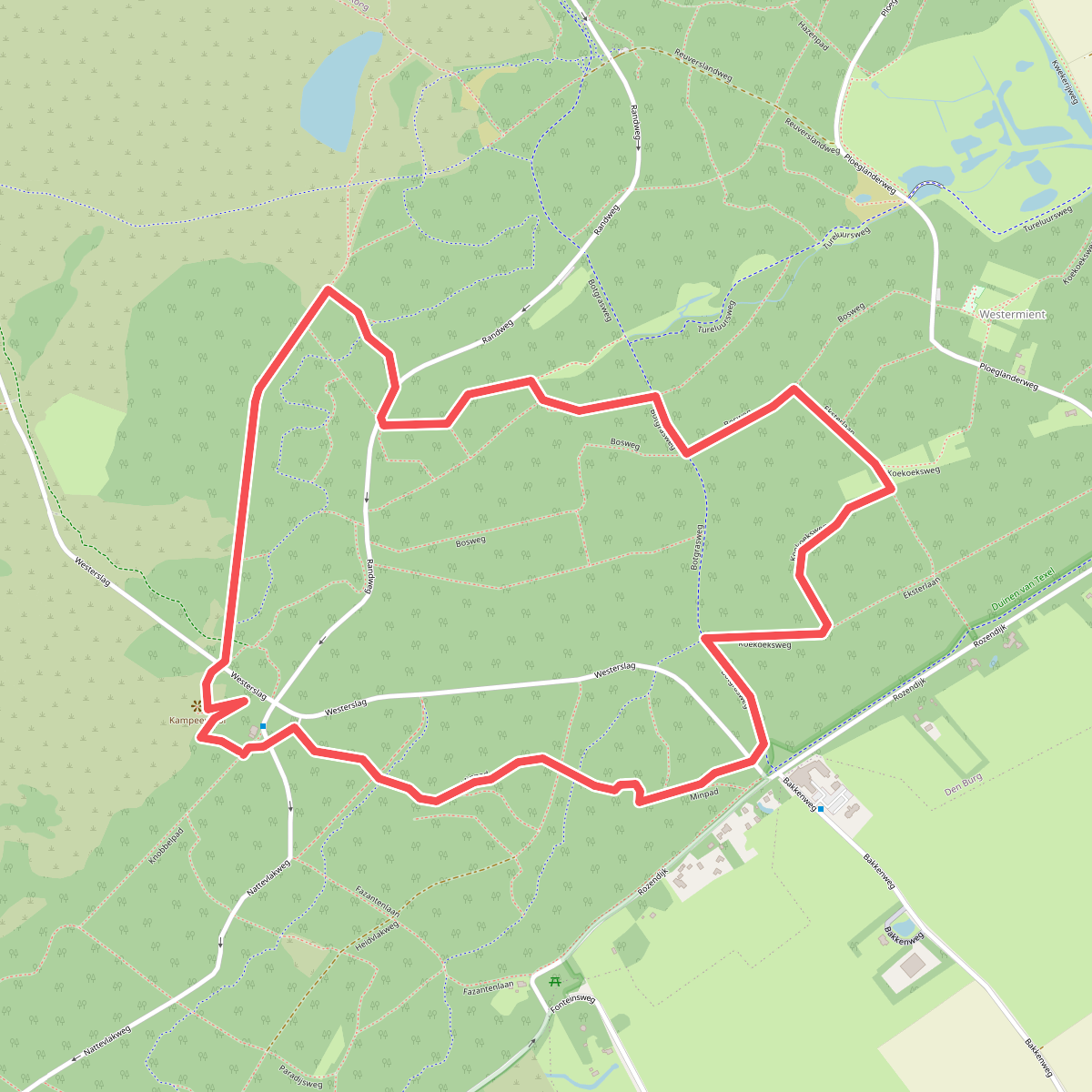 De Dennen (paars)