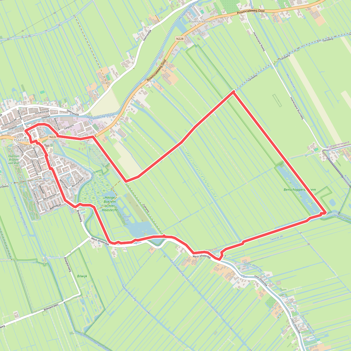 Vogel en veengebied