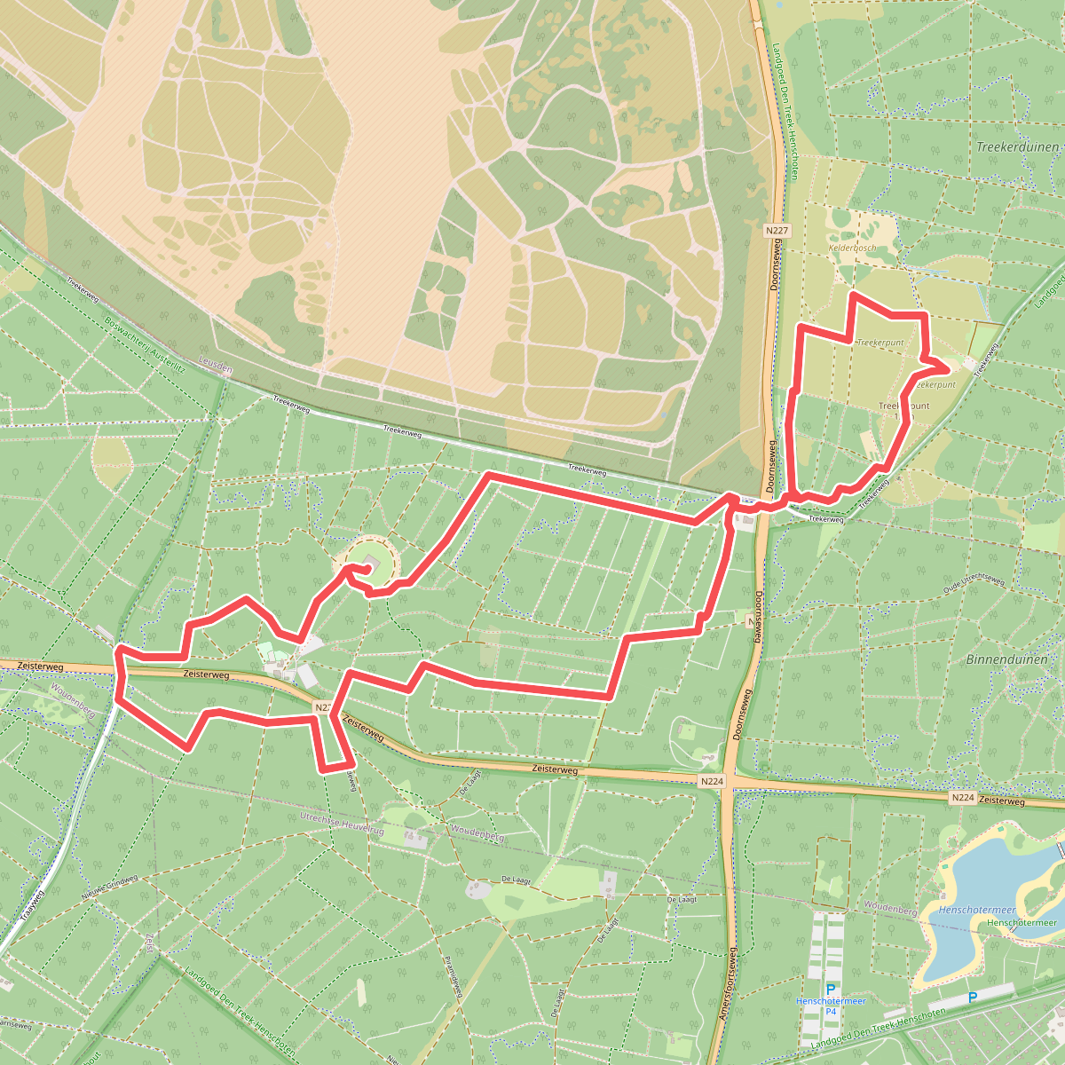 Wandelen door de bossen van de Utrechtse Heuvelrug