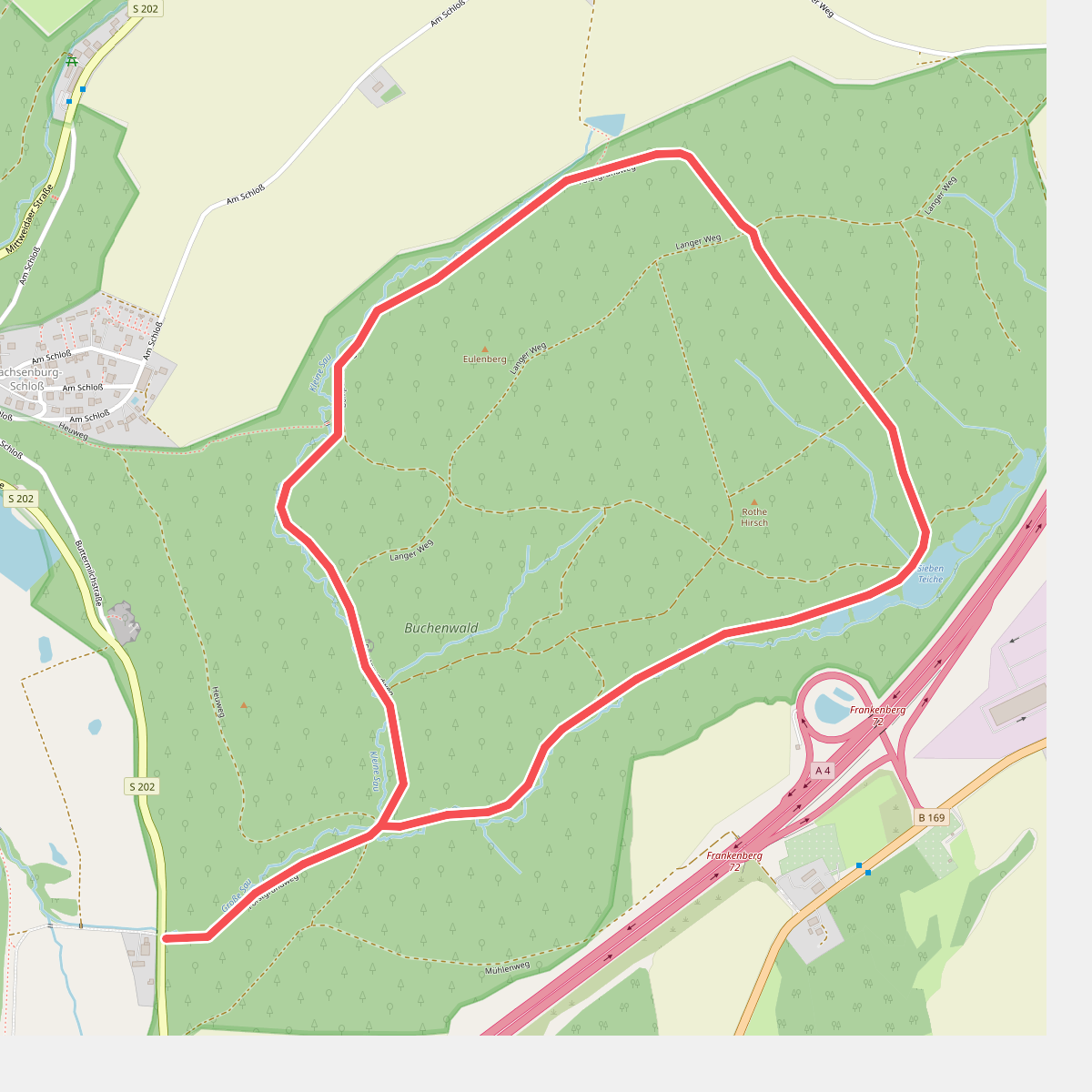 Rundweg Buchenwald