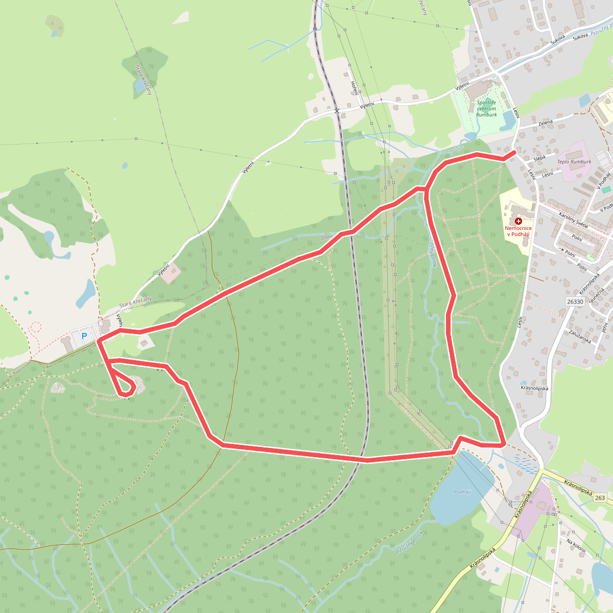 NS Dymník