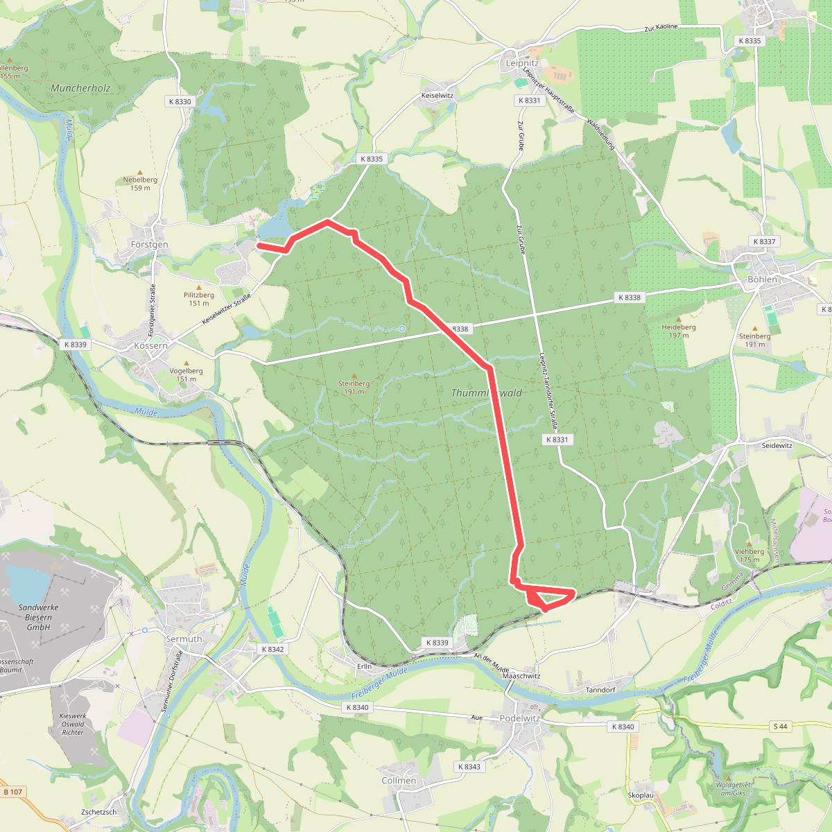 Ww durch den Thümmlitzwald (Teilstück des markierten Wanderweges)