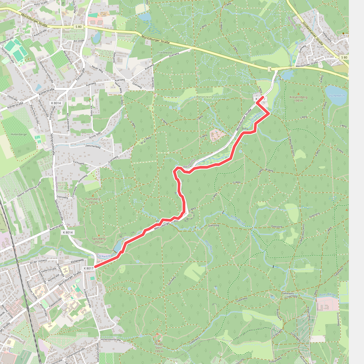 Waldlehrpfad Spitzgrund Talweg
