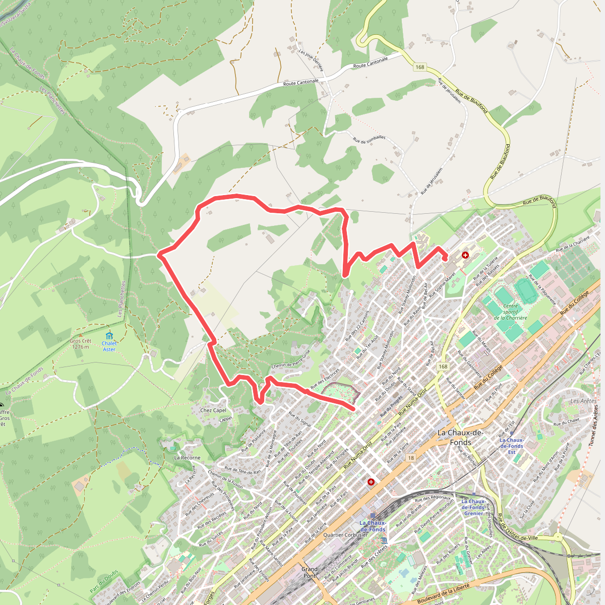 Chemin de l'abeille violette