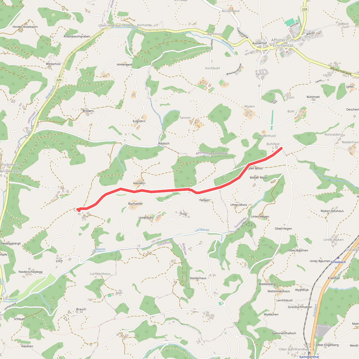 Ober Scheidegg - Büelfeld
