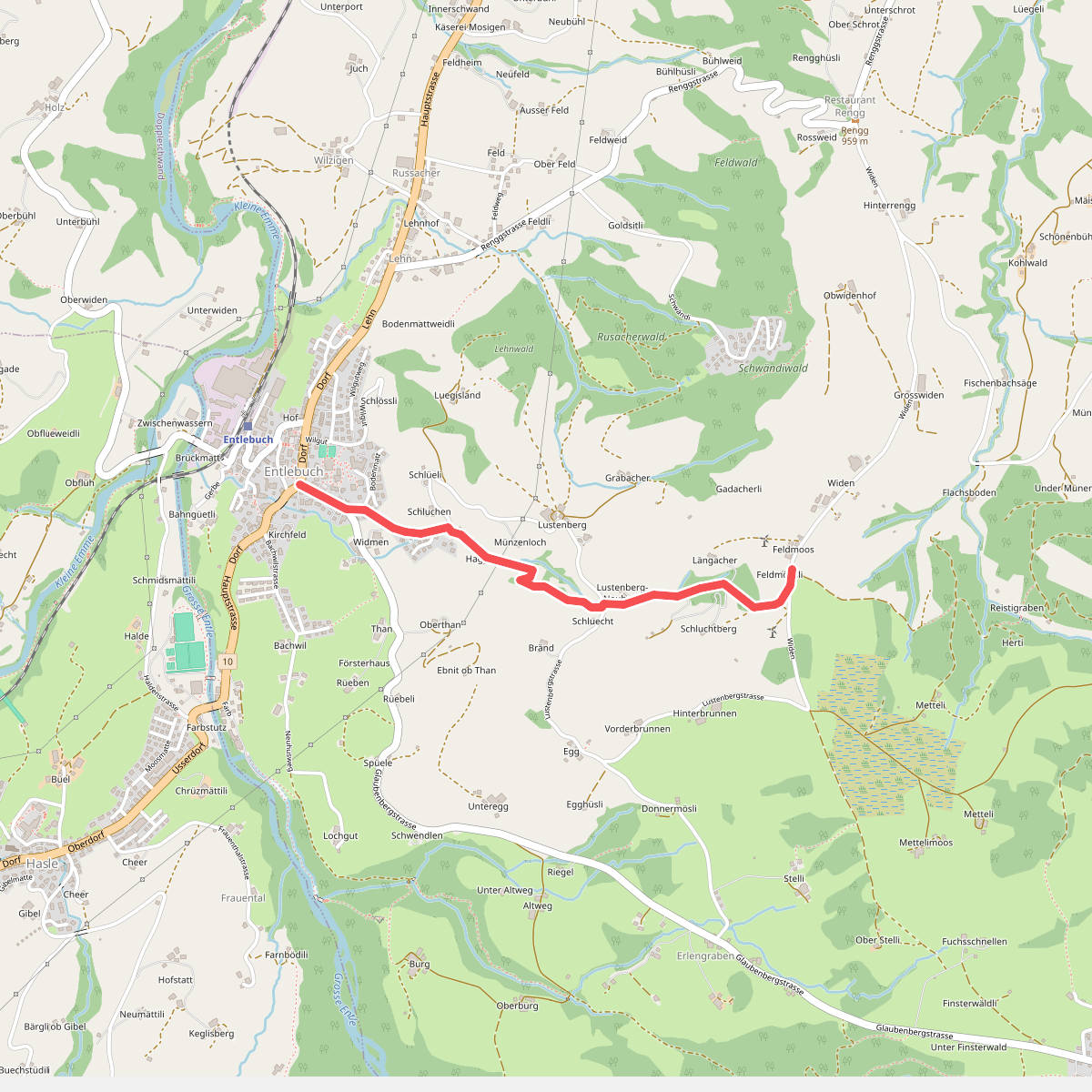 Feldmoos - Entlebuch